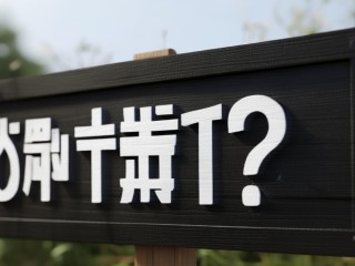 补招何时开启？