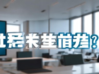 美团属于什么类型公司？