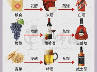 酒水具体包含哪些种类？