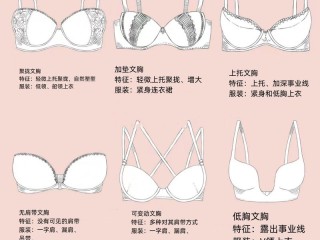 文胸由哪些部分组成？