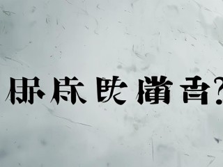 南充中医院公开招聘何时开始？