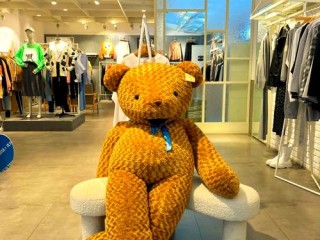 泰迪熊品牌有哪些？