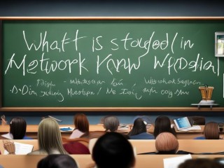 网络与新媒体学什么？核心课程与就业方向是什么？