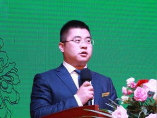 植保助理岗位职责具体包含哪些核心工作？