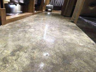 饭店种类五花八门，究竟有哪些常见类型？