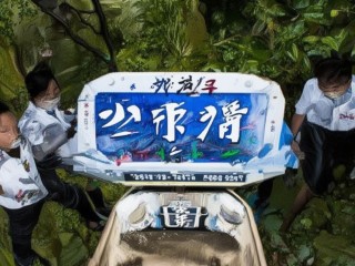 天津公开招聘处级，具体岗位有哪些？