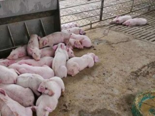 资本核算岗具体负责哪些核心工作？