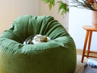 懒人用品有哪些？