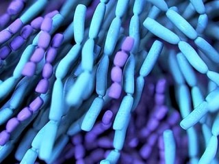 PCR主管的核心职责具体包括哪些？