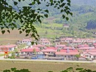 哪些参茸品牌最值得信赖？