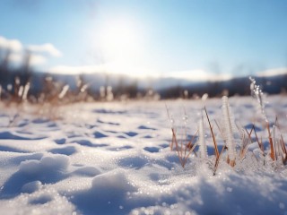 微融具体指什么？