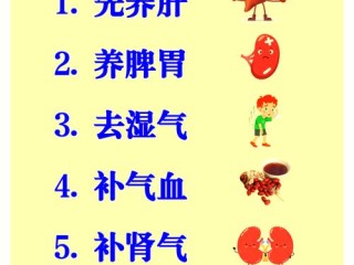 养生模式有哪些