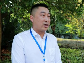 医药部岗位职责具体包含哪些核心内容？