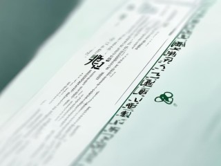 凤阳县医院公开招聘，何时报名？