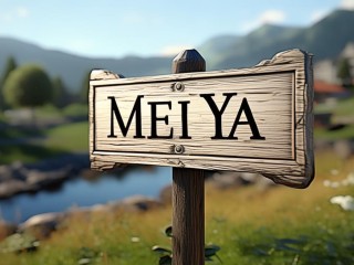 美亚是哪个国家的简称？