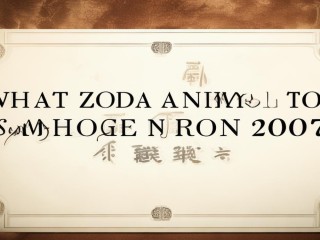2007年出生到底属什么生肖？