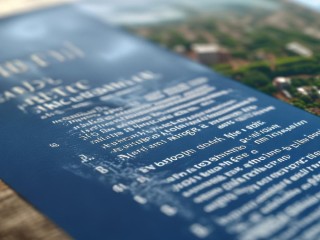 津市公开招聘公告具体有哪些岗位和要求？