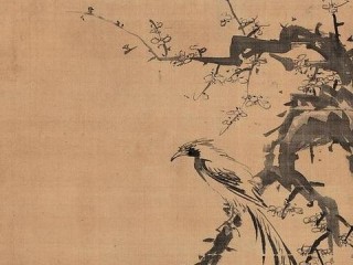 得仕股份有限公司怎么发展？