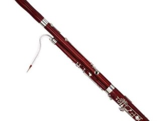 巴松选什么牌子好？