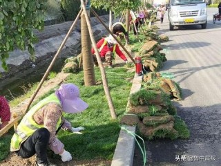 土地研发岗位职责