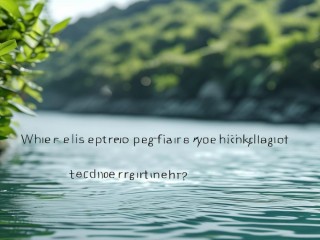 望江幼师招聘何时报名？条件是什么？