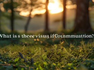 视觉传达到底是什么？