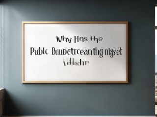 为何暂停公开招聘？