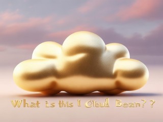 云豆究竟是什么？