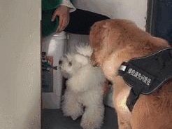 清洁经理岗位职责具体包括哪些核心任务？