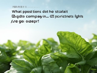 国家烟草大连招聘啥岗位？要求高吗？