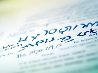 桐庐医院公开招聘哪些岗位？