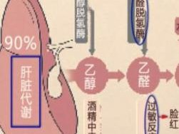 解酒饮品哪种最有效？