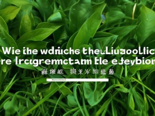 柳州公开招聘考试何时开始报名？