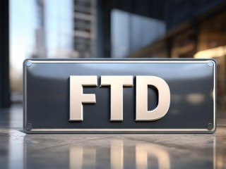 ftd到底是什么意思？