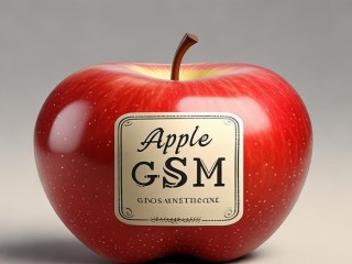 苹果GSM是什么意思？