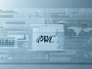 普华永道是做什么的？为何如此知名？