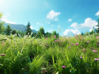 丰润二字究竟指何意？