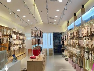 航洋国际内衣店有哪些品牌？