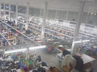 高埗镇究竟有哪些内衣厂？