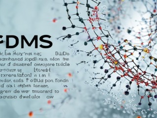 PDMS究竟是什么？