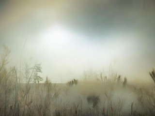 单位选聘与公开招聘有何本质区别？