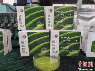 抹茶都有哪些牌子