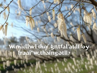 杨絮何时彻底结束？