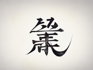 彗字的本义是什么？