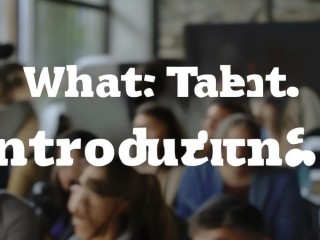 人才引进究竟是什么？