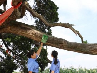 公司勘察岗位职责具体包含哪些核心内容？