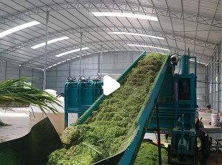 50个办厂好项目具体是哪些？