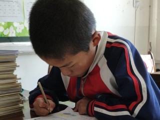 社区管理岗位职责具体包括哪些核心内容？