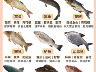 火锅水产有哪些