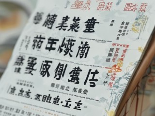 洛阳人才公开招聘何时开始报名？